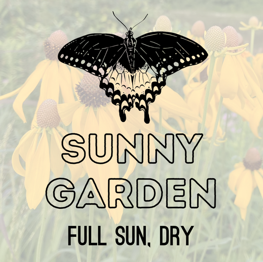 Healing Garden Seeds: Sunny Garden - 5g
