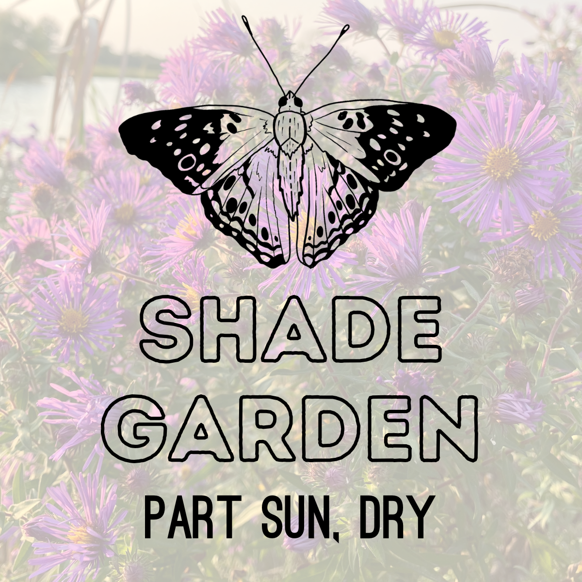 Healing Garden Seeds: Shade Garden - 5g