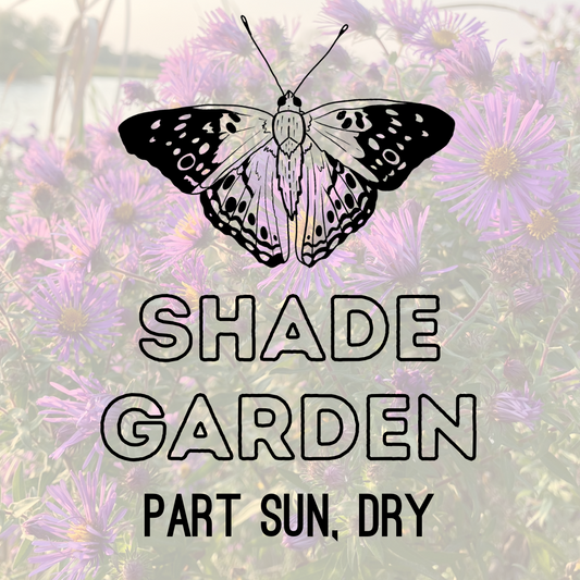 Healing Garden Seeds: Shade Garden - 5g