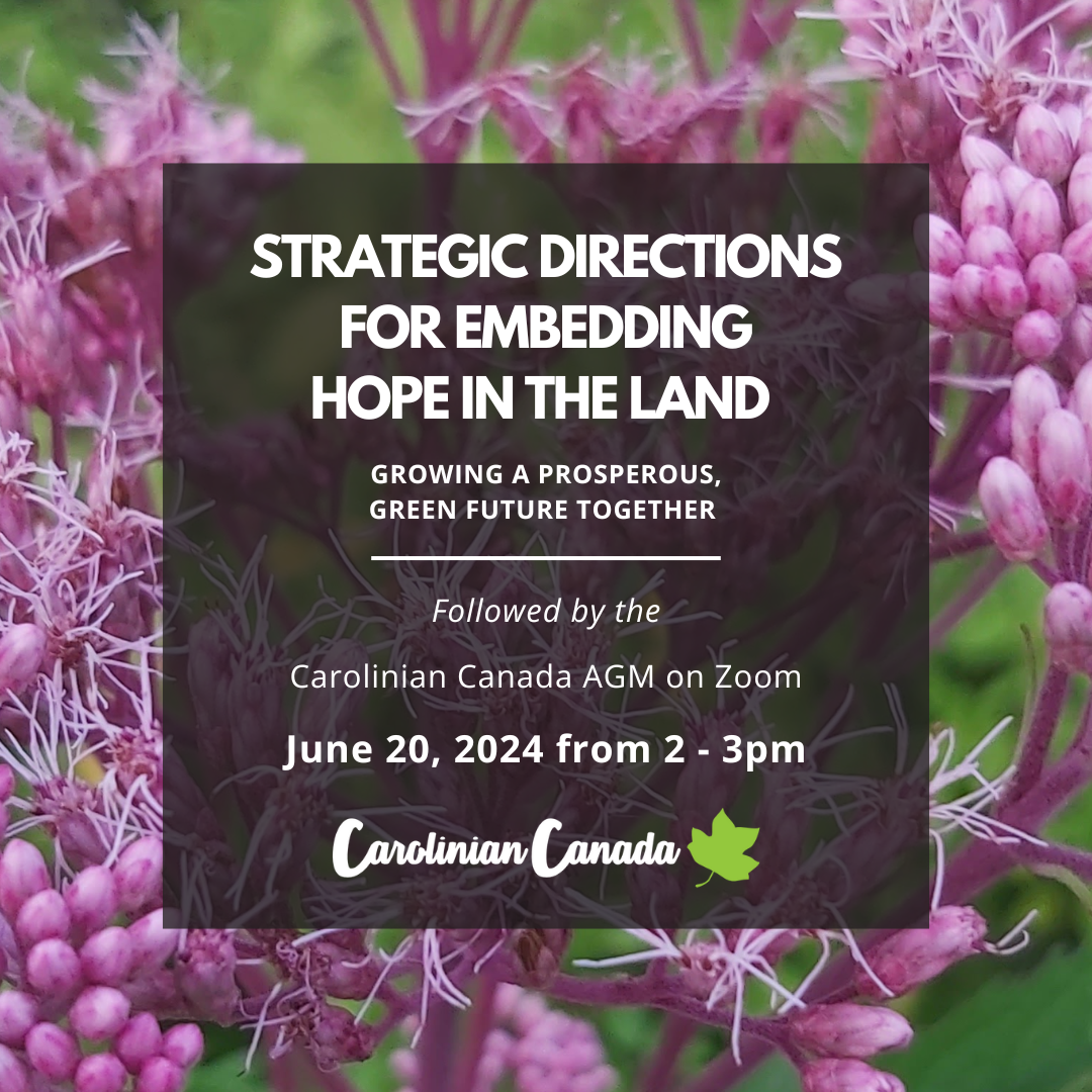 Strategic Directions for Embedding Hope in the Land: AGM 2024 - Ticket