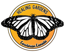 Load image into Gallery viewer, 2024 Pre-Order: Dig In Healing Garden Kit
