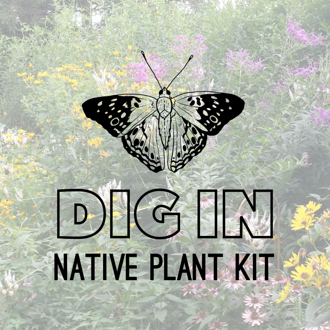 Dig In Healing Garden Kit