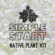 Load image into Gallery viewer, Simple Start Healing Garden Kit
