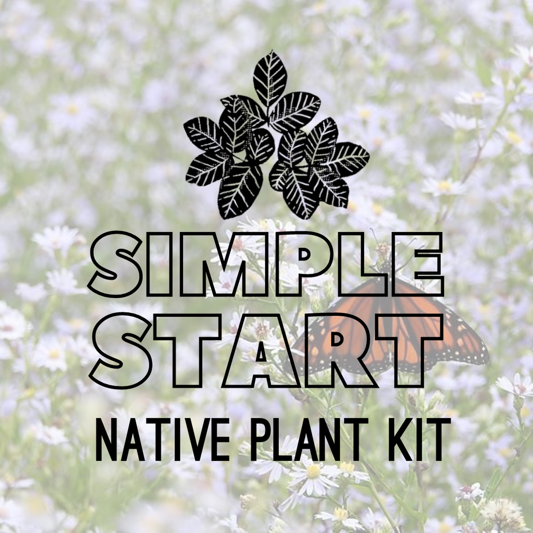 Simple Start Healing Garden Kit