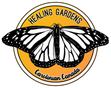 Load image into Gallery viewer, Dig In Healing Garden Kit
