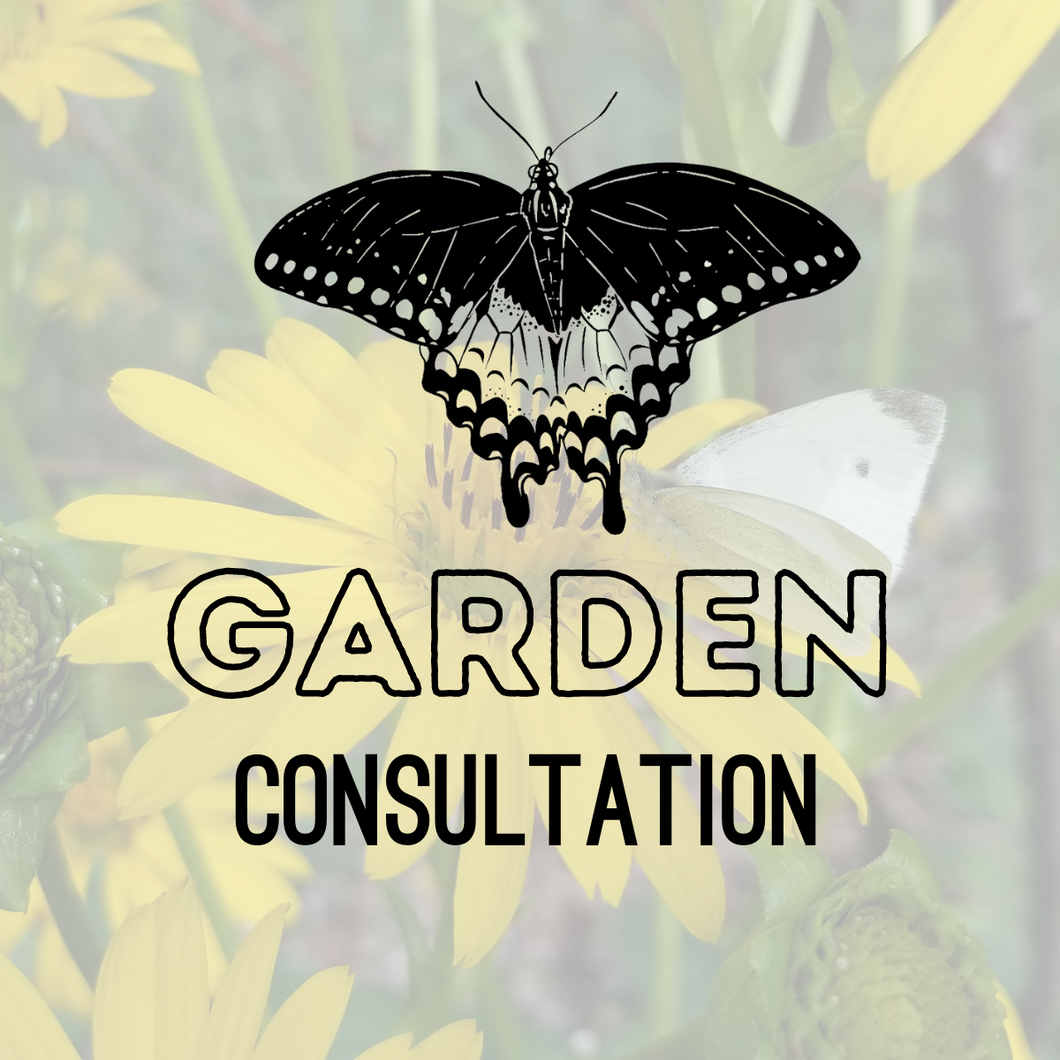 My Wild Garden Consultation - Request Quote